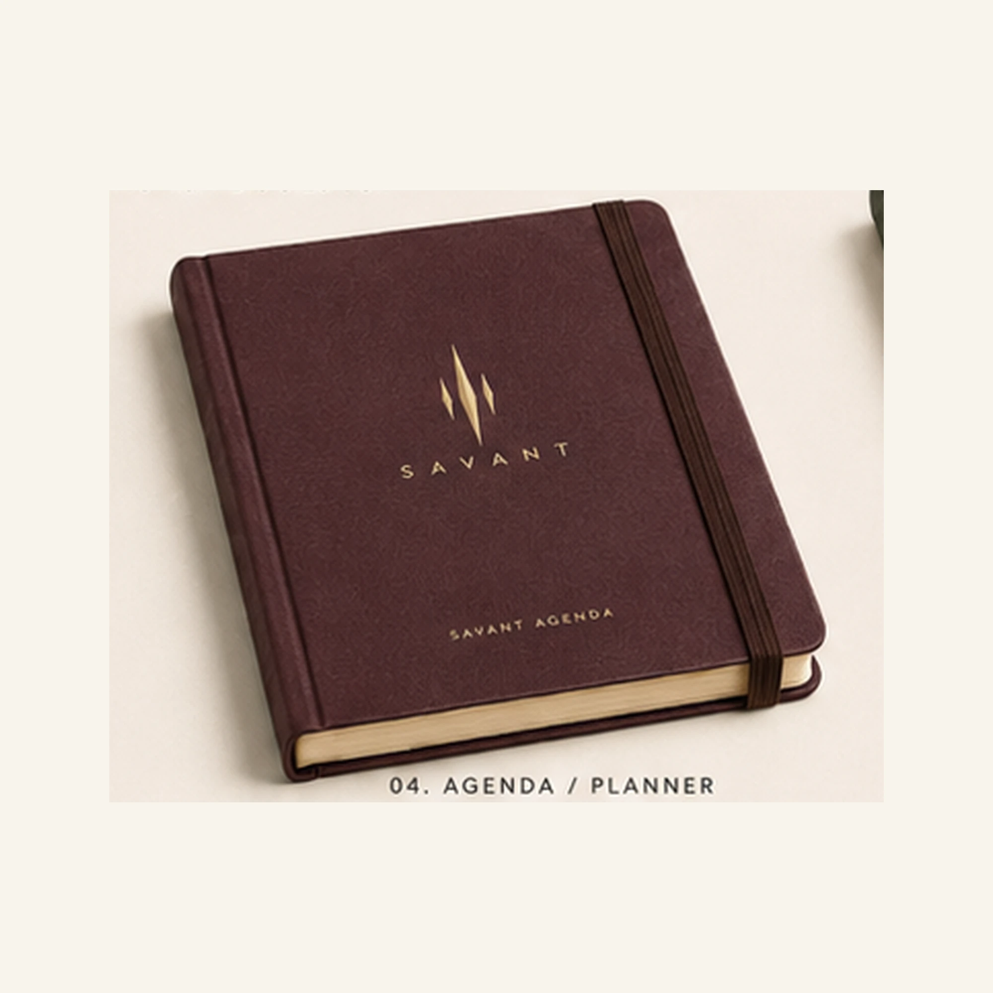 SAVANT Agenda — Burgundy